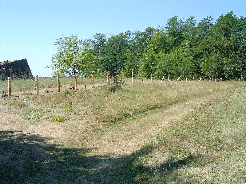 2009.08.20 017.jpg